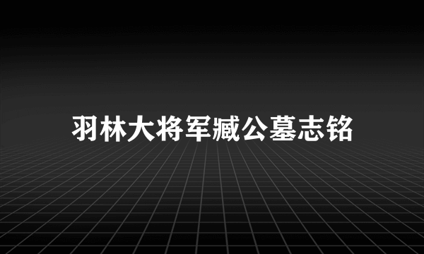 羽林大将军臧公墓志铭