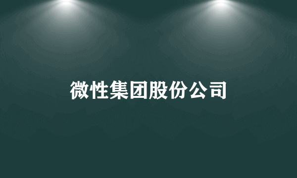 微性集团股份公司