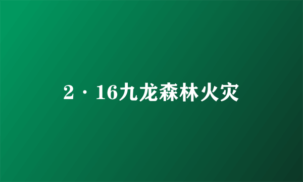 2·16九龙森林火灾
