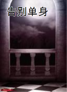 告别单身（小说）