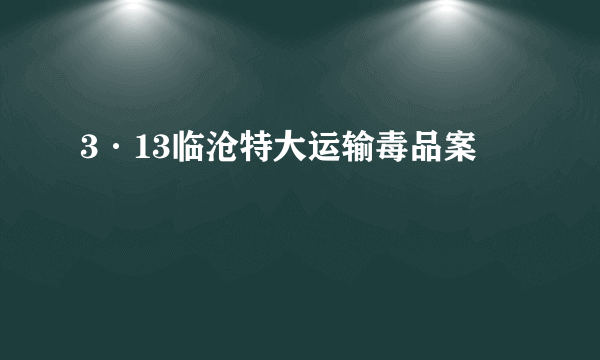 3·13临沧特大运输毒品案