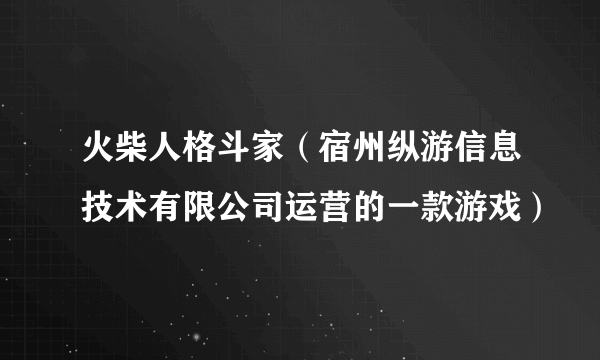 火柴人格斗家（宿州纵游信息技术有限公司运营的一款游戏）