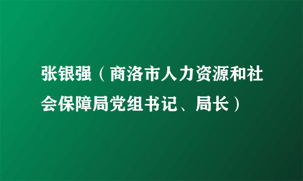张银强（商洛市人力资源和社会保障局党组书记、局长）
