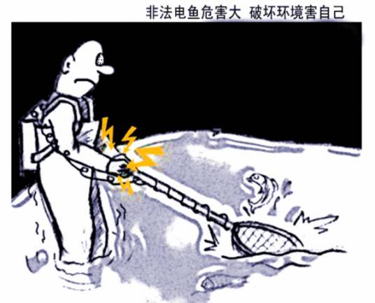 电鱼（一种违法捕鱼的方法）