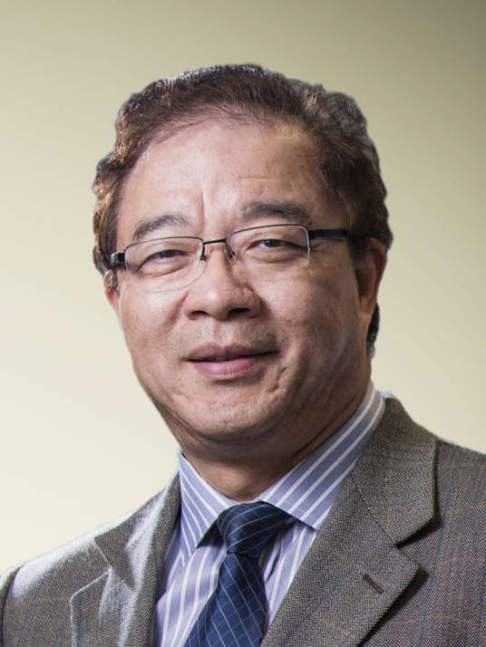 秦岭（美国医学与生物工程院院士、欧洲人文和自然科学院外籍院士，香港中文大学医学院助理院长（内地事务））