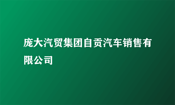 庞大汽贸集团自贡汽车销售有限公司