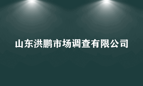 山东洪鹏市场调查有限公司