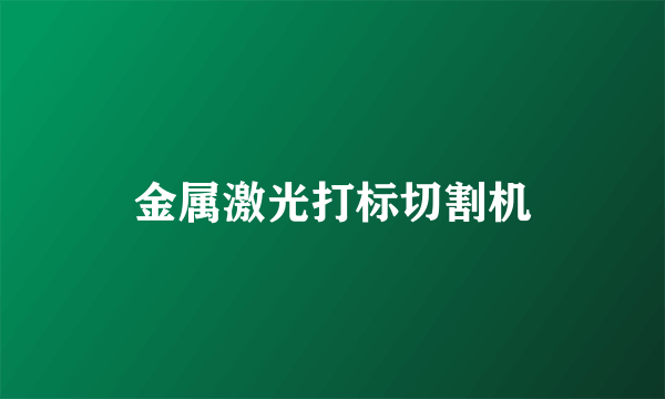 金属激光打标切割机