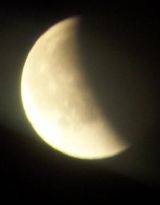 血色Blood