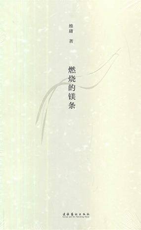 燃烧的镁条