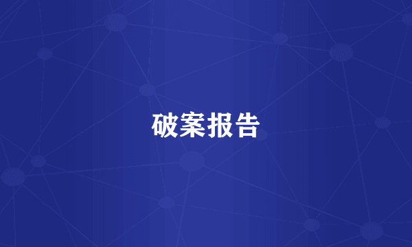 破案报告
