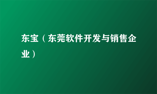 东宝（东莞软件开发与销售企业）