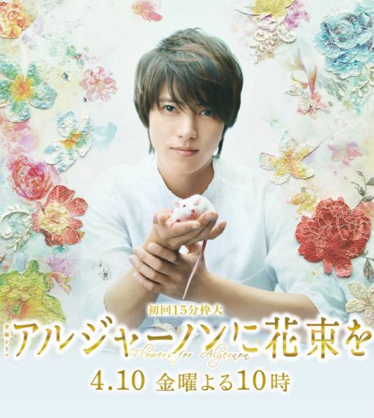 献给阿尔吉侬的花束（日本2015年山下智久主演的电视剧）