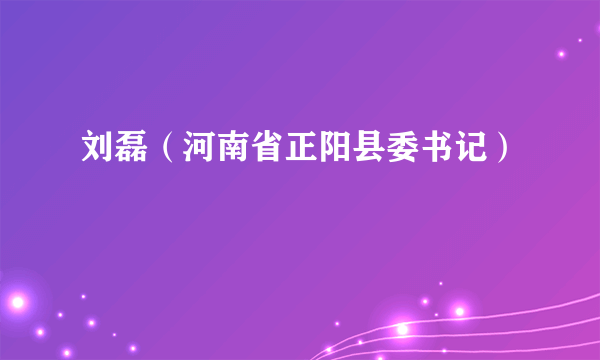 刘磊（河南省正阳县委书记）