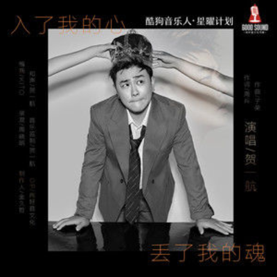 入了我的心丢了我的魂（贺一航演唱的歌曲）