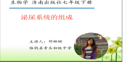 泌尿系统的组成