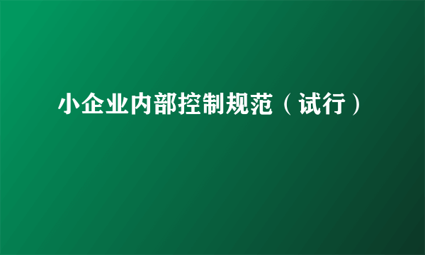 小企业内部控制规范（试行）