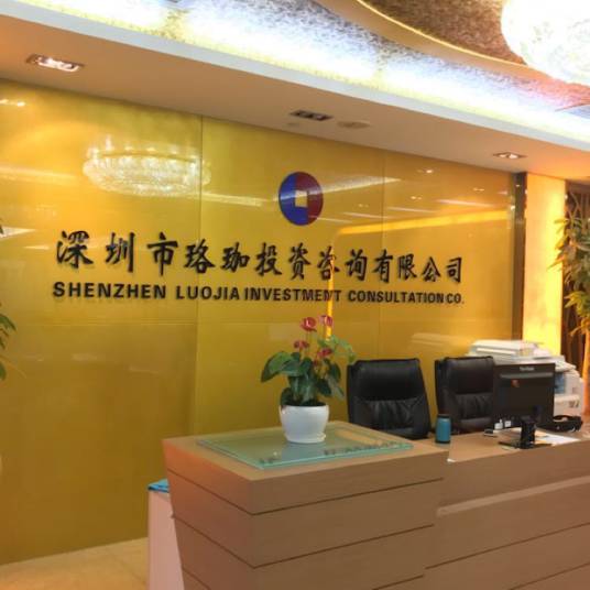 深圳市珞珈投资咨询有限公司