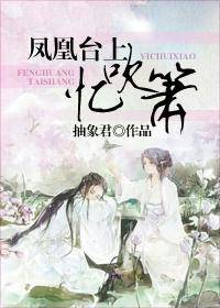 凤凰台上忆吹箫（抽象君创作的言情小说）