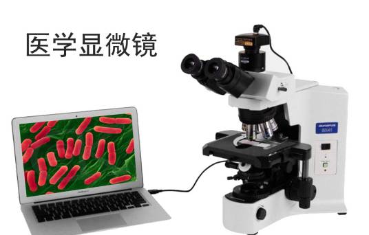 医学显微镜