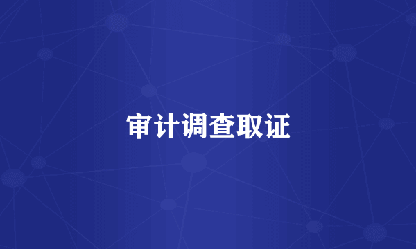 审计调查取证