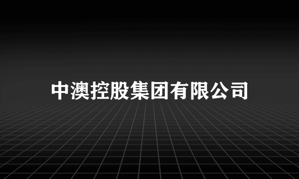 中澳控股集团有限公司