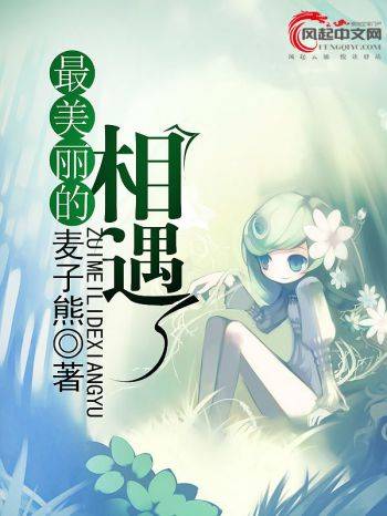 最美丽的相遇（风起中文网作者麦子熊创作的小说）