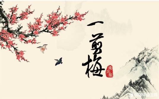 花自飘零水自流（2009年长江文艺出版社出版的图书）