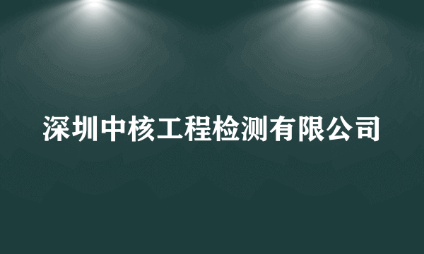 深圳中核工程检测有限公司