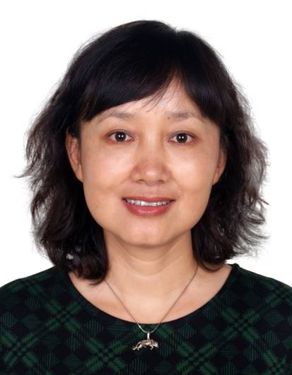 王彬（国投瑞银基金管理有限公司总经理）