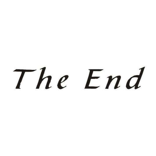 the end（张远光著小说）