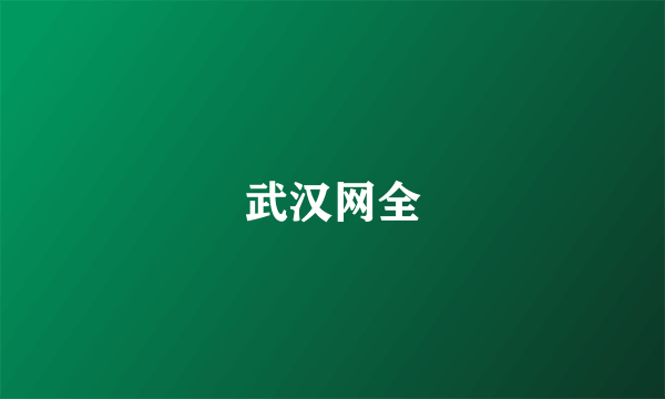 武汉网全