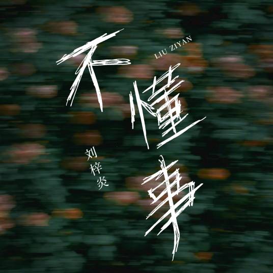 不懂事（刘梓炎演唱歌曲）