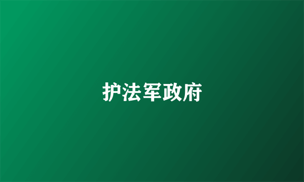 护法军政府