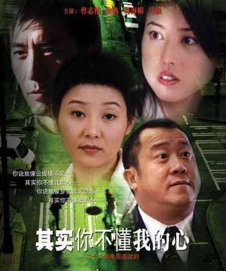 其实你不懂我的心（2003年徐帆主演电视剧）