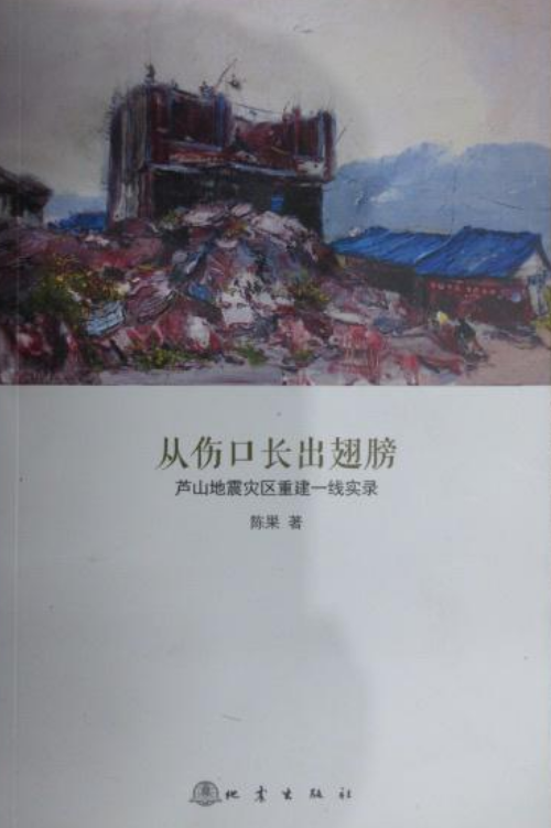 从伤口长出翅膀：芦山地震灾区重建一线实录
