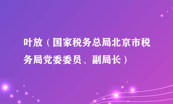 叶放（国家税务总局北京市税务局党委委员、副局长）