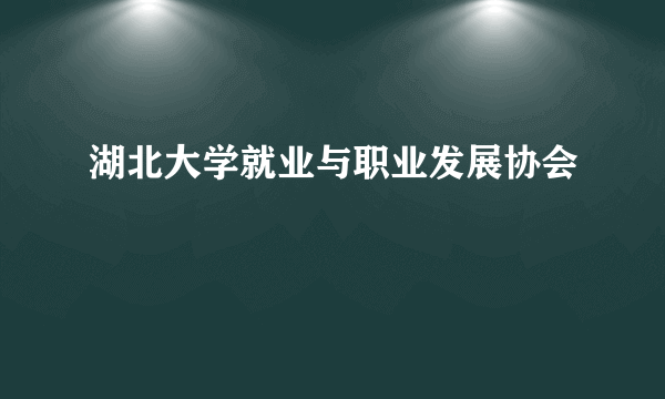 湖北大学就业与职业发展协会
