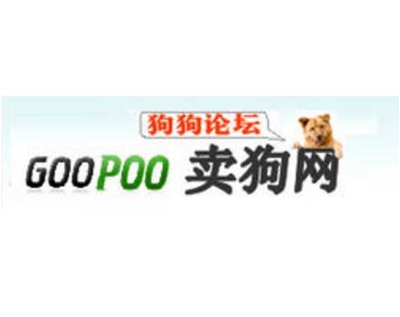 阿里卖狗网