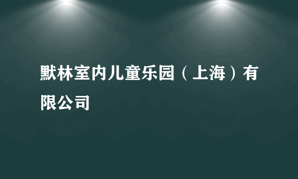 默林室内儿童乐园（上海）有限公司