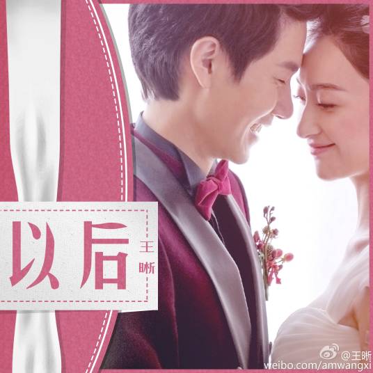 以后（王晰演唱的歌曲）