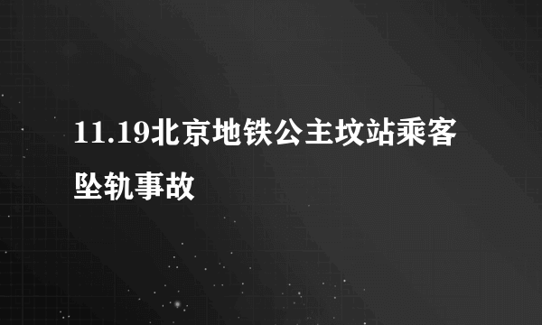 11.19北京地铁公主坟站乘客坠轨事故