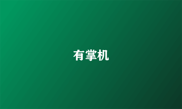 有掌机