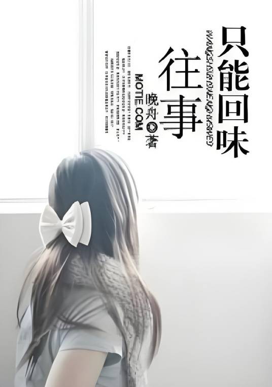 往事只能回味（晚舟著小说作品）