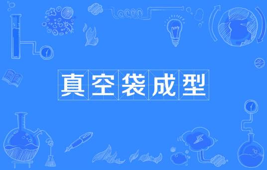 真空袋成型