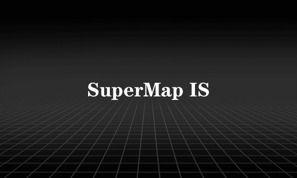SuperMap IS