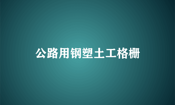 公路用钢塑土工格栅
