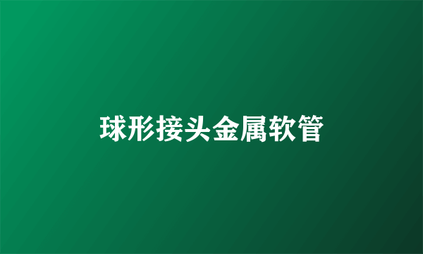 球形接头金属软管