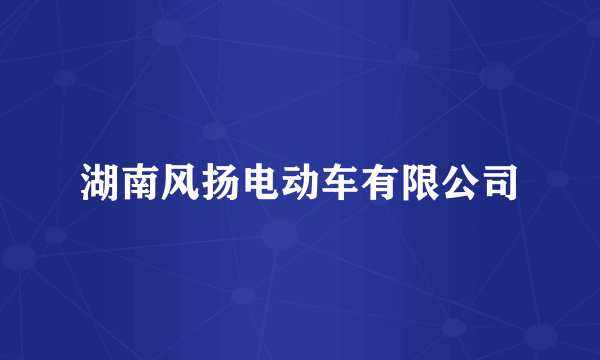 湖南风扬电动车有限公司