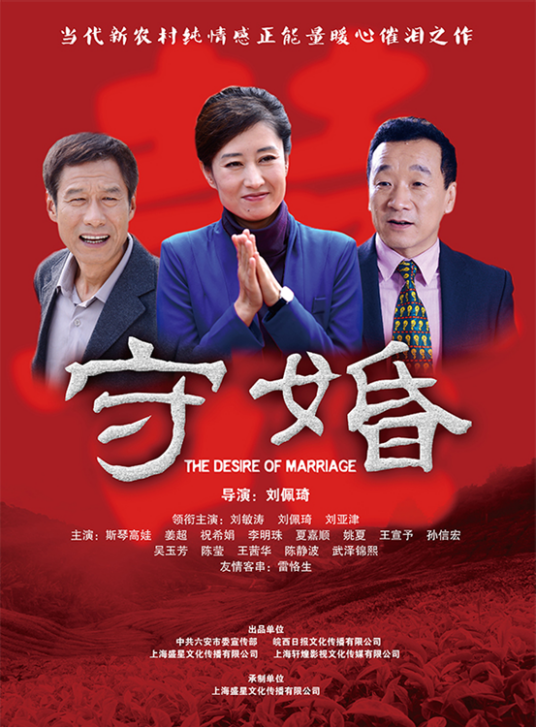 守婚（2014年刘佩琦执导电视剧）